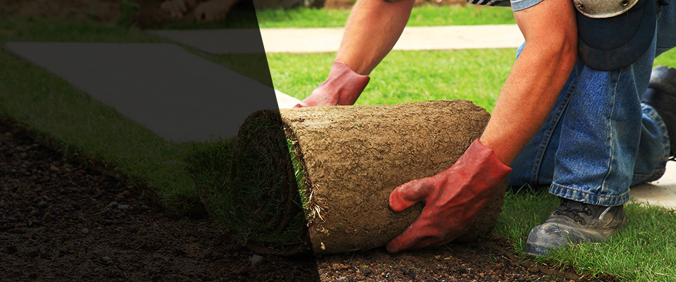 Ecorse Landscapers